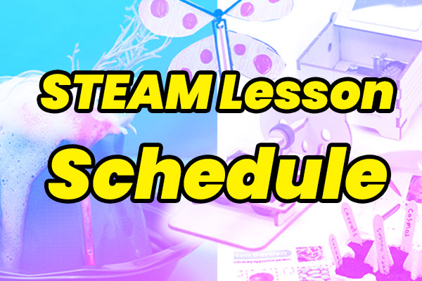 steam lesson schedule